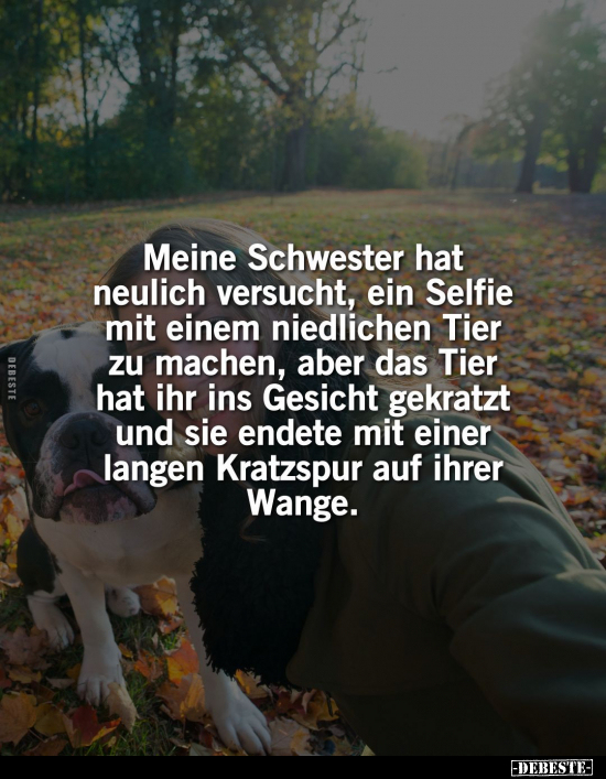 Meine Schwester hat neulich versucht, ein Selfie mit einem.. - Lustige Bilder | DEBESTE.de