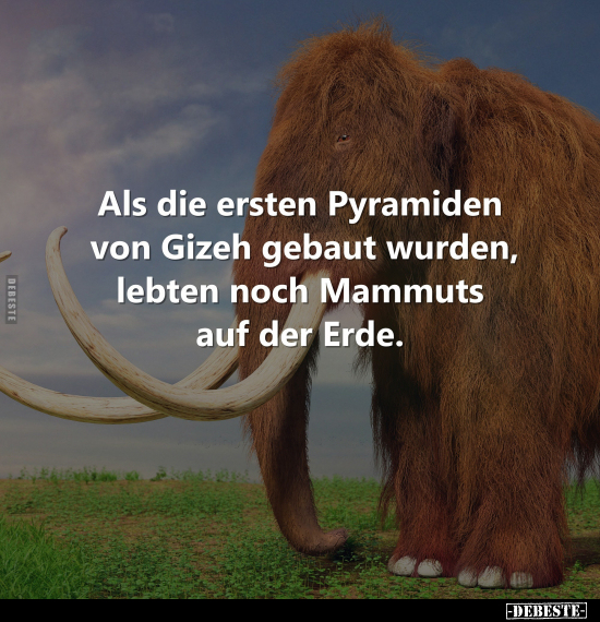 Als die ersten Pyramiden von Gizeh gebaut wurden.. - Lustige Bilder | DEBESTE.de