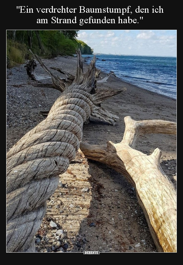 "Ein verdrehter Baumstumpf, den ich am Strand gefunden.." - Lustige Bilder | DEBESTE.de