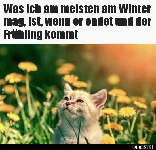 Was ich am meisten am Winter mag, ist, wenn er endet und.. - Lustige Bilder | DEBESTE.de