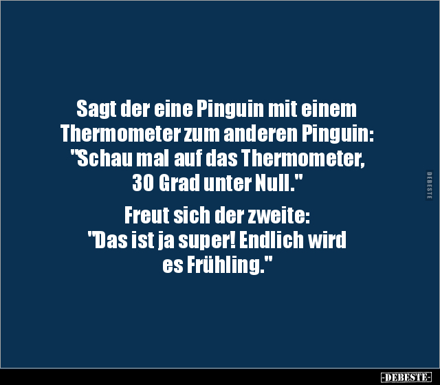 Sagt der eine Pinguin mit einem Thermometer zum anderen.. - Lustige Bilder | DEBESTE.de