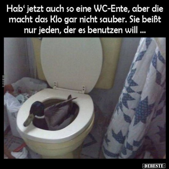 Hab' jetzt auch so eine WC-Ente, aber die macht das Klo gar.. - Lustige Bilder | DEBESTE.de