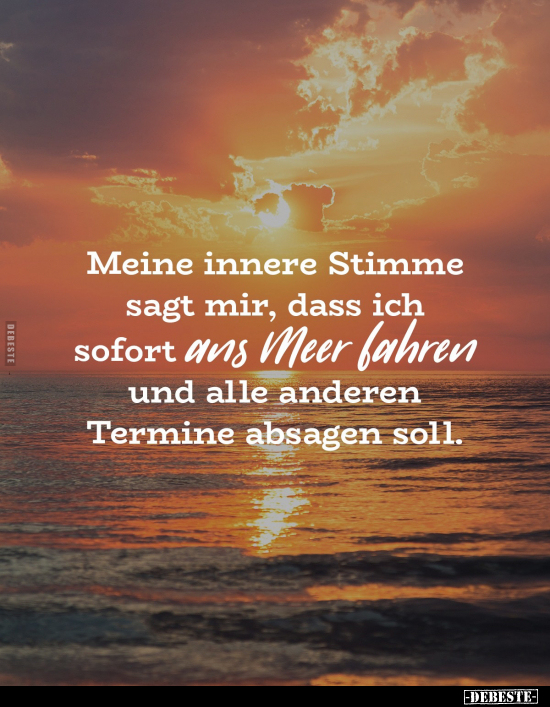Meine innere Stimme sagt mir, dass ich sofort ans Meer.. - Lustige Bilder | DEBESTE.de