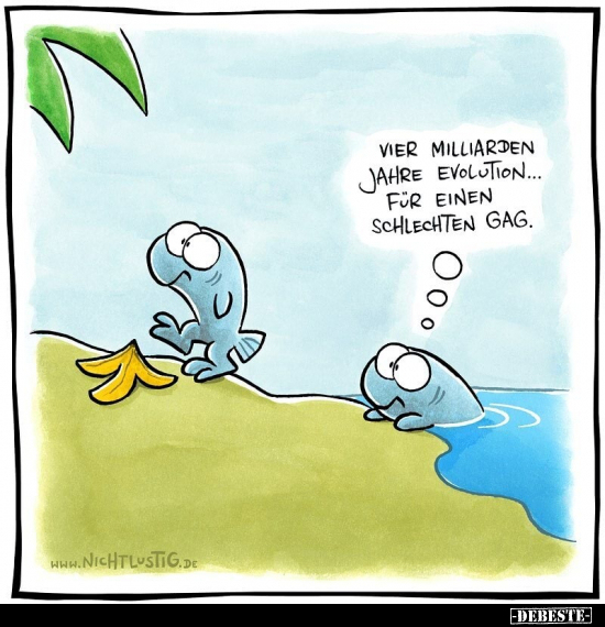 Vier Milliarden Jahre Evolution... Für einen schlechten.. - Lustige Bilder | DEBESTE.de