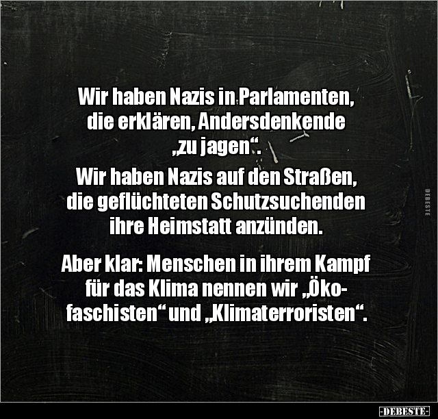 Wir haben Nazis in Parlamenten, die erklären.. - Lustige Bilder | DEBESTE.de