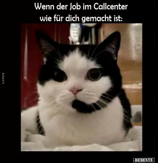 Wenn der Job im Callcenter wie für dich gemacht ist.. - Lustige Bilder | DEBESTE.de