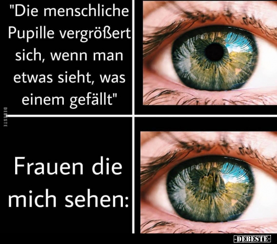 "Die menschliche Pupille vergrößert sich, wenn man etwas.." - Lustige Bilder | DEBESTE.de
