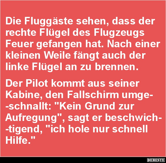 Die Fluggäste sehen, dass der rechte Flügel.. - Lustige Bilder | DEBESTE.de