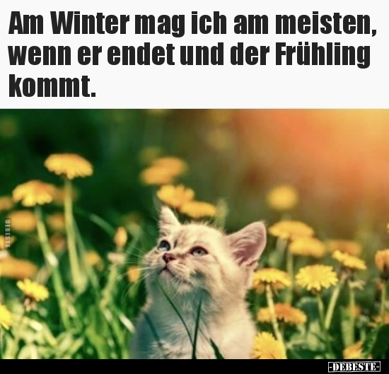 Am Winter mag ich am meisten, wenn er endet und der.. - Lustige Bilder | DEBESTE.de