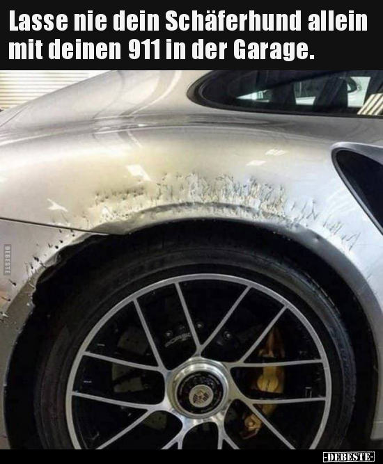 Lasse nie dein Schäferhund allein mit deinen 911 in der.. - Lustige Bilder | DEBESTE.de