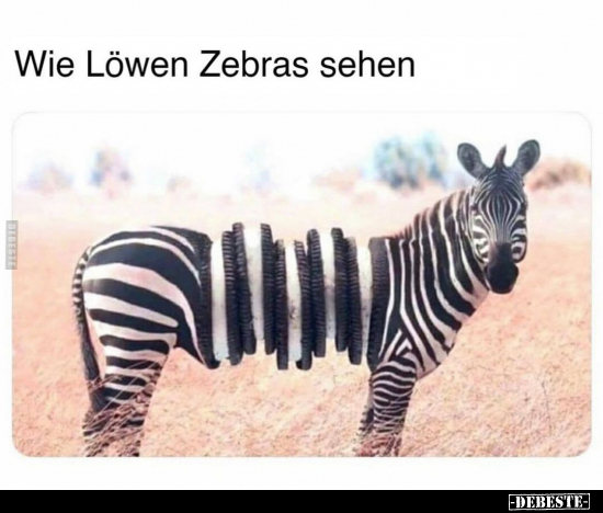 Wie Löwen Zebras sehen.. - Lustige Bilder | DEBESTE.de