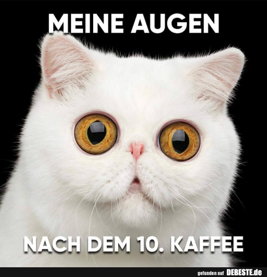 Meine Augen nach dem 10. Kaffee.. - Lustige Bilder | DEBESTE.de