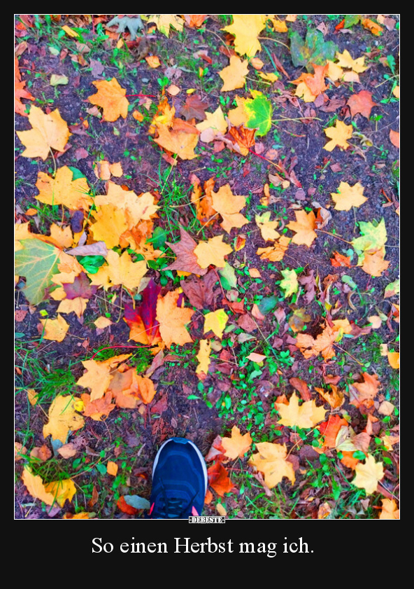 So einen Herbst mag ich... - Lustige Bilder | DEBESTE.de