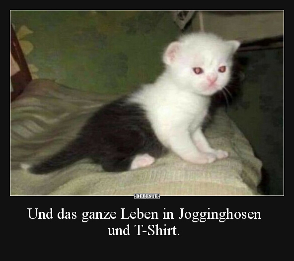 Und das ganze Leben in Jogginghosen und T-Shirt... - Lustige Bilder | DEBESTE.de