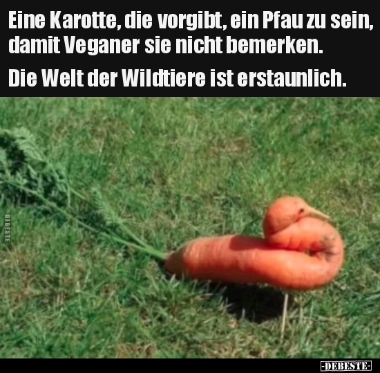 Eine Karotte, die vorgibt, ein Pfau zu sein, damit Veganer.. - Lustige Bilder | DEBESTE.de