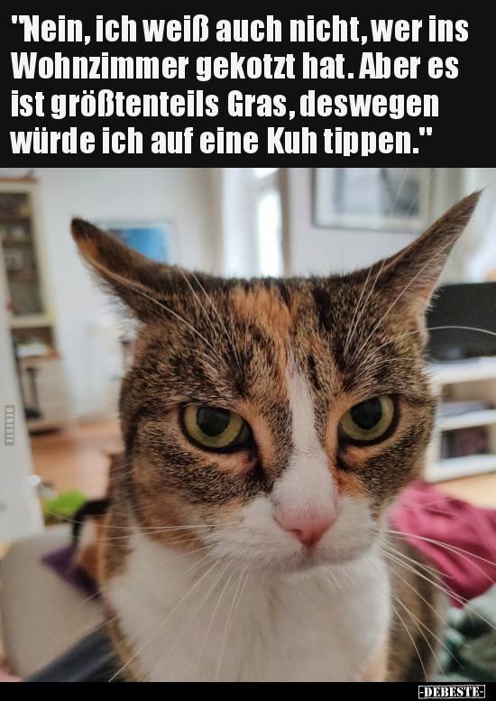 "Nein, ich weiß auch nicht, wer ins Wohnzimmer gekotzt.." - Lustige Bilder | DEBESTE.de