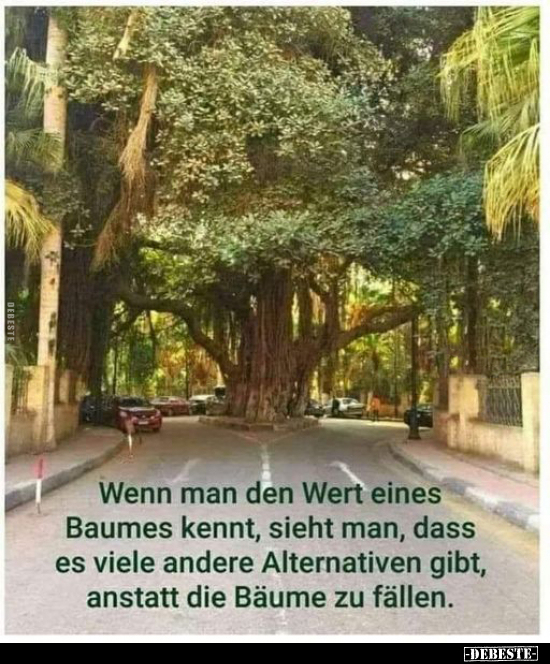 Wenn man den Wert eines Baumes kennt.. - Lustige Bilder | DEBESTE.de