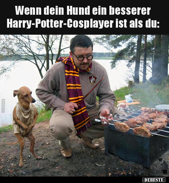 Wenn dein Hund ein besserer Harry-Potter-Cosplayer ist.. - Lustige Bilder | DEBESTE.de