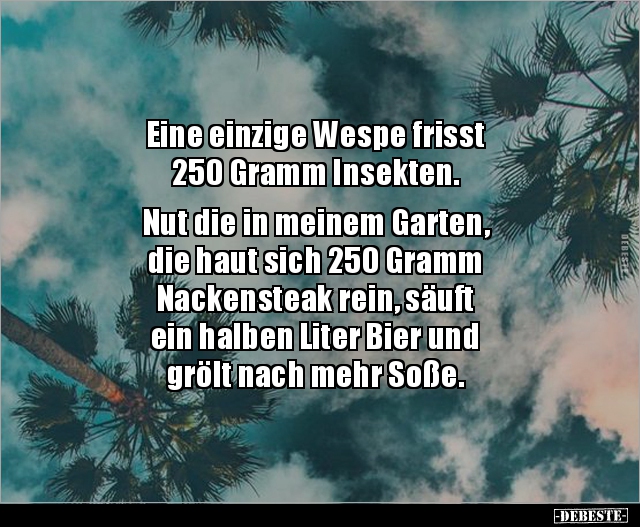 Eine einzige Wespe frisst 250 Gramm Insekten... - Lustige Bilder | DEBESTE.de