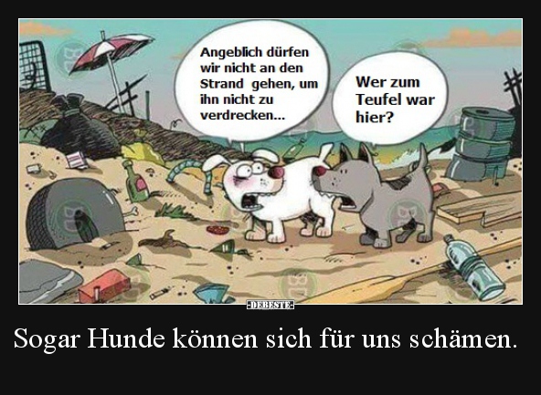 Sogar Hunde können sich für uns schämen... - Lustige Bilder | DEBESTE.de
