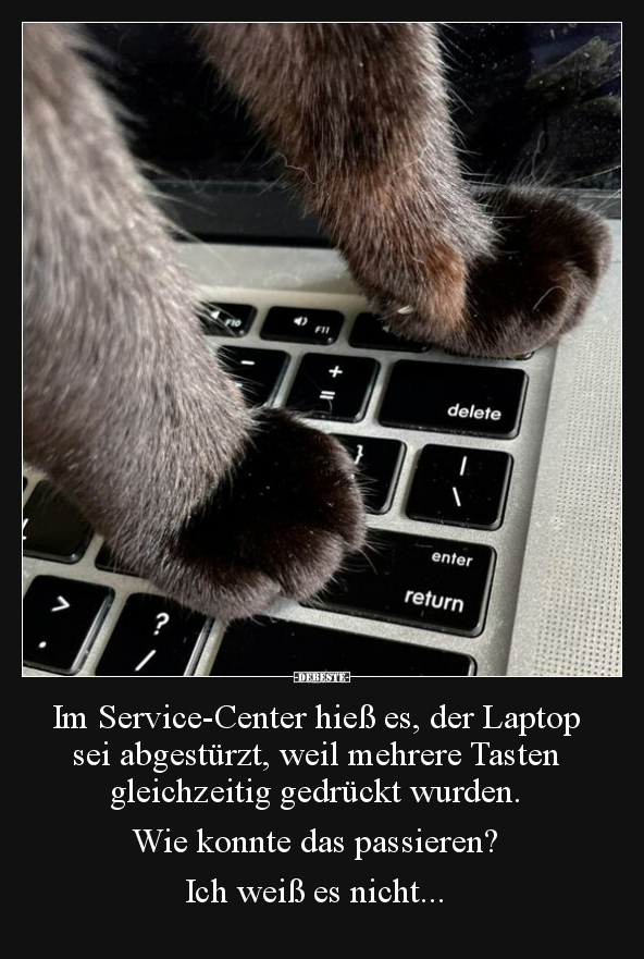 Im Service-Center hieß es, der Laptop sei abgestürzt, weil.. - Lustige Bilder | DEBESTE.de