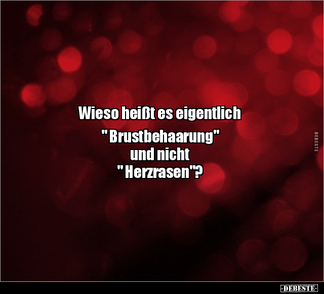 Wieso heißt es eigentlich " Brustbehaarung" .. - Lustige Bilder | DEBESTE.de