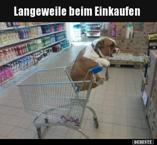 Langeweile beim Einkaufen.. - Lustige Bilder | DEBESTE.de