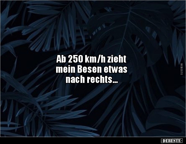Ab 250 km/h zieht mein Besen etwas nach.. - Lustige Bilder | DEBESTE.de