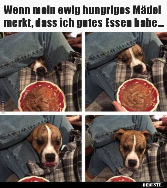 Wenn mein ewig hungriges Mädel merkt, dass ich gutes Essen.. - Lustige Bilder | DEBESTE.de