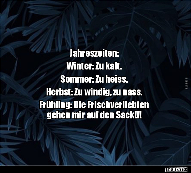 Jahreszeiten: Winter: Zu kalt. Sommer: Zu heiss.. - Lustige Bilder | DEBESTE.de