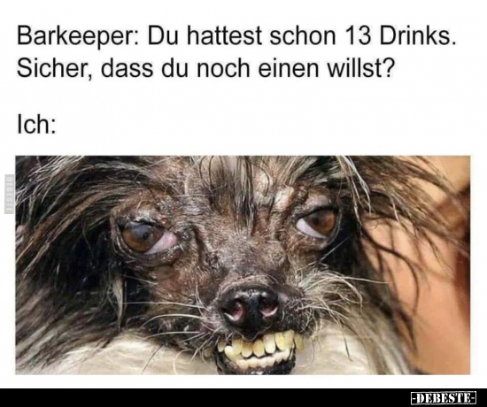 Barkeeper: Du hattest schon 13 Drinks. Sicher, dass du noch.. - Lustige Bilder | DEBESTE.de