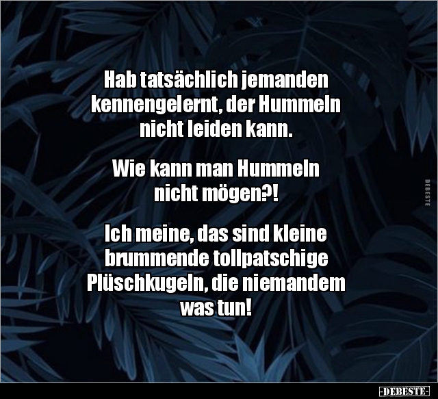Hab tatsächlich jemanden kennengelernt, der Hummeln.. - Lustige Bilder | DEBESTE.de