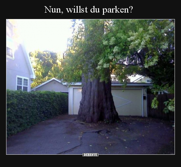 Nun, willst du parken?.. - Lustige Bilder | DEBESTE.de