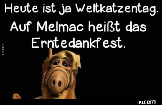 Heute ist ja Weltkatzentag. Auf Melmac heißt das.. - Lustige Bilder | DEBESTE.de