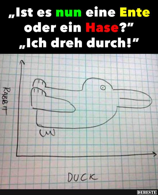 Ist es nun eine Ente oder ein Hase? - Lustige Bilder | DEBESTE.de