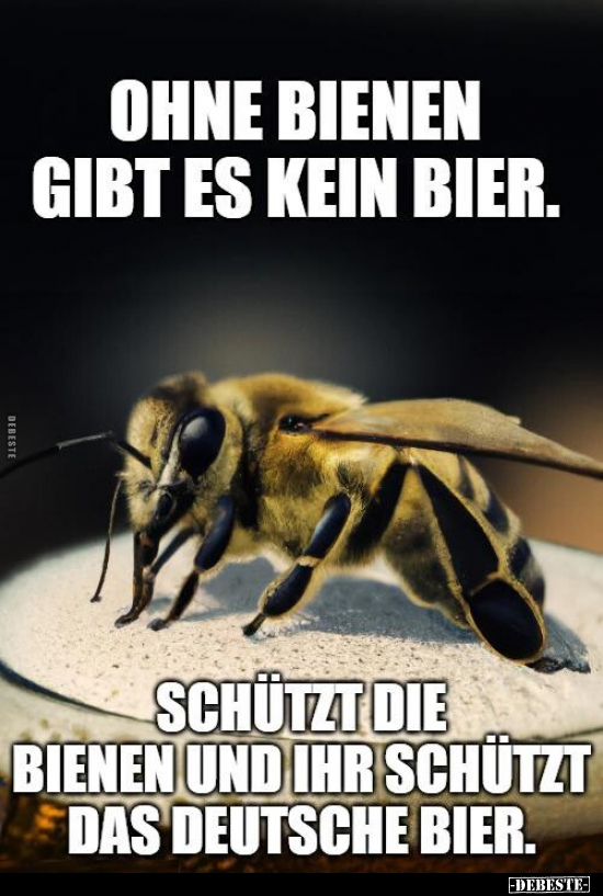 Ohne Bienen gibt es kein Bier.. - Lustige Bilder | DEBESTE.de