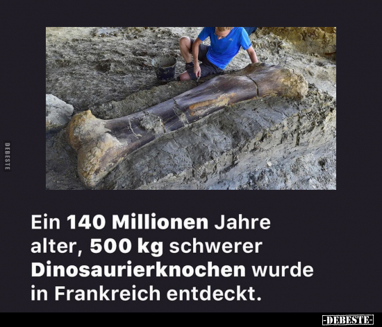 Ein 140 Millionen Jahre alter.. - Lustige Bilder | DEBESTE.de