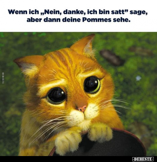 Wenn ich "Nein, danke, ich bin satt" sage.. - Lustige Bilder | DEBESTE.de