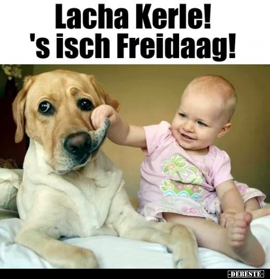 Lacha Kerle! 's isch Freidaag! - Lustige Bilder | DEBESTE.de