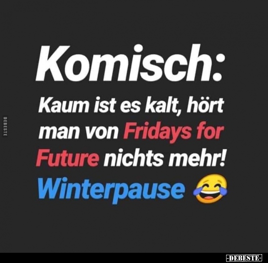 Komisch: Kaum ist es kalt, hört man von Fridays for Future nichts mehr! - Lustige Bilder | DEBESTE.de