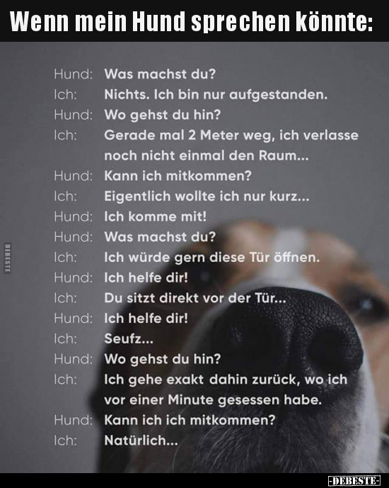 Wenn mein Hund sprechen könnte.. - Lustige Bilder | DEBESTE.de
