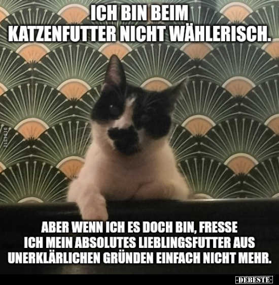 Ich bin beim Katzenfutter nicht wählerisch.. - Lustige Bilder | DEBESTE.de
