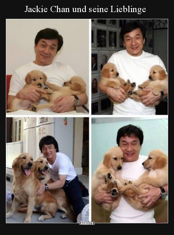 Jackie Chan und seine Lieblinge.. - Lustige Bilder | DEBESTE.de
