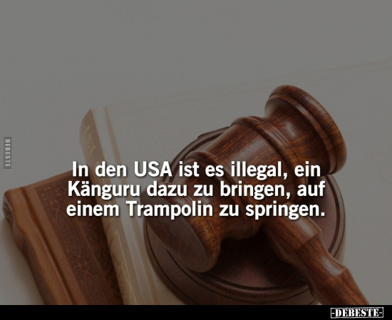 In den USA ist es illegal, ein Känguru dazu zu bringen, auf.. - Lustige Bilder | DEBESTE.de