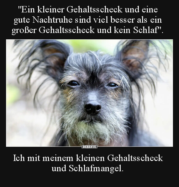 "Ein kleiner Gehaltsscheck und eine gute Nachtruhe sind.." - Lustige Bilder | DEBESTE.de