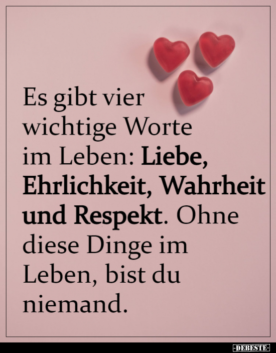 Es gibt vier wichtige Worte im Leben: Liebe, Ehrlichkeit.. - Lustige Bilder | DEBESTE.de