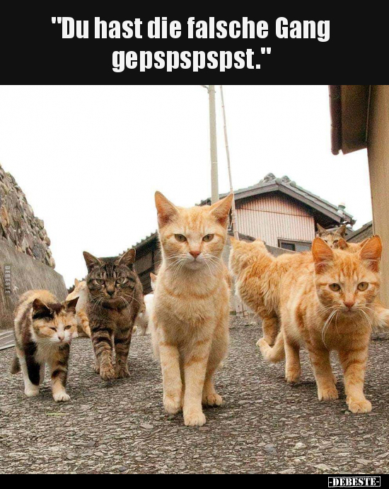 "Du hast die falsche Gang gepspspspst.".. - Lustige Bilder | DEBESTE.de