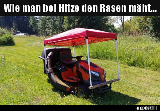 Wie man bei Hitze den Rasen mäht... - Lustige Bilder | DEBESTE.de