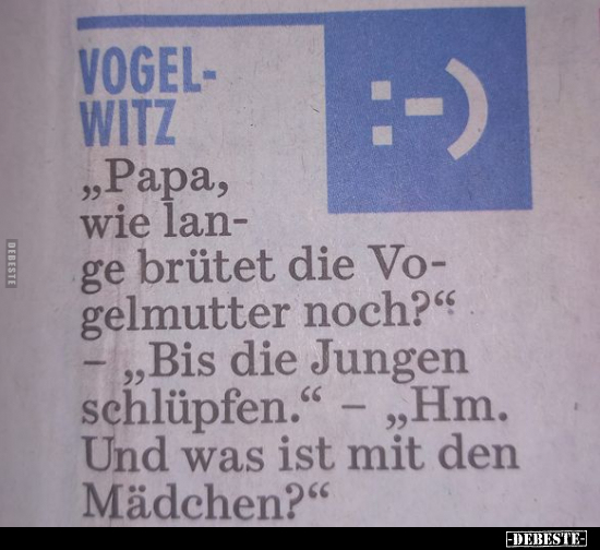 "Papa, wie lange brütet die Vogelmutter noch?".. - Lustige Bilder | DEBESTE.de