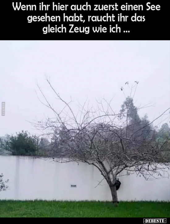 Wenn ihr hier auch zuerst einen See gesehen habt.. - Lustige Bilder | DEBESTE.de